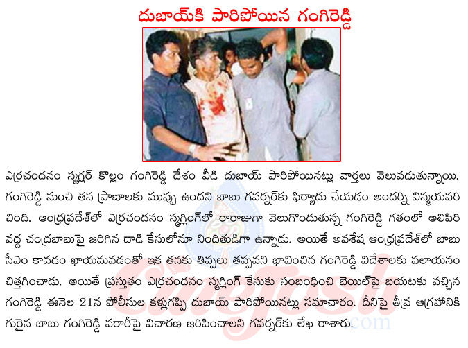 ap cm chandrababu naidu,attack on chandrababu,erra chandanm smagler gangi reddy,threat to chandrababu from gangi reddy,gangi reddy escapes to dubai,chandrababu vs gangi reddy  ap cm chandrababu naidu, attack on chandrababu, erra chandanm smagler gangi reddy, threat to chandrababu from gangi reddy, gangi reddy escapes to dubai, chandrababu vs gangi reddy